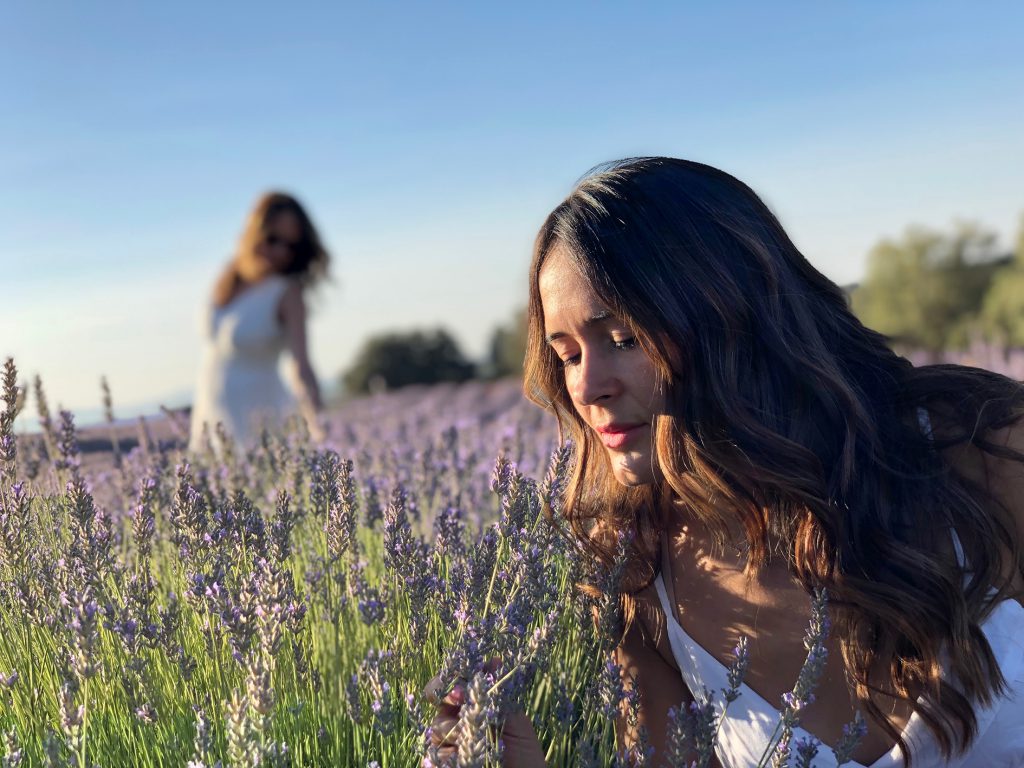 Aceite esencial de lavanda - Aromáticas Alto Valle